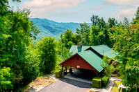 3-TreeTopRetreat(aerial)