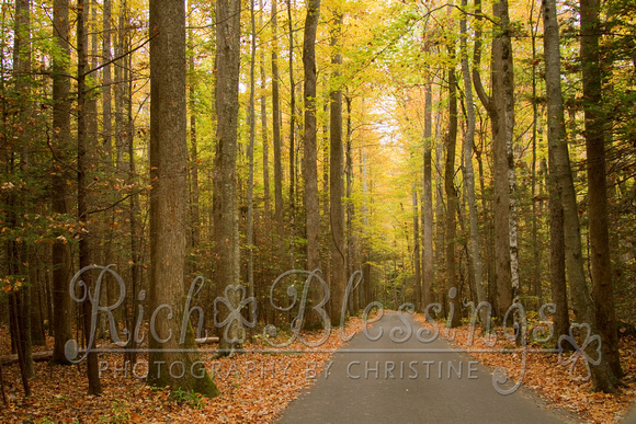 Roaring Forks Motor Nature Trail - Great Smoky Mountains National Park