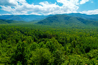 4-TreeTopRetreat(aerial)